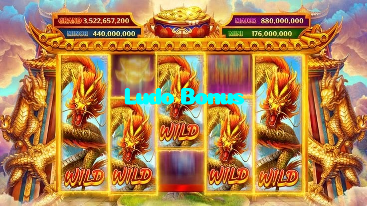 available types of Ludo Bonus bet including pre-match live express and system bets